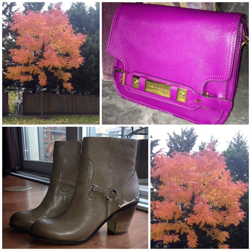 Fall with VInce Camuto